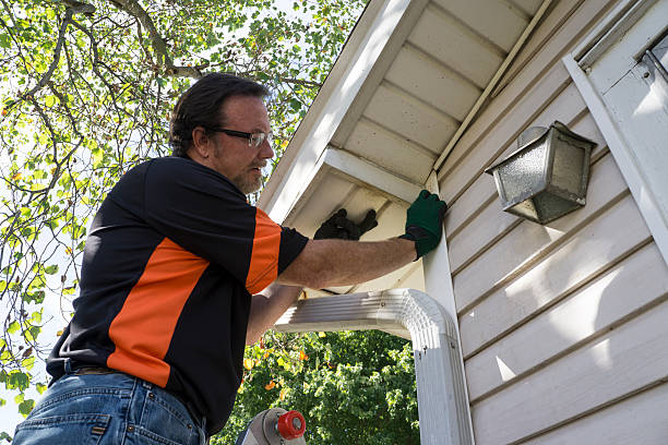 Best Demolition Debris Removal  in Porter, IN